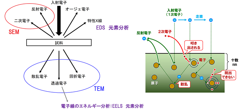 SEM、TEMによる元素分析